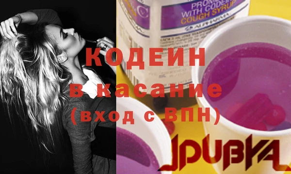 крисы Мегион