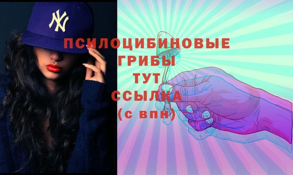 дживик Армянск